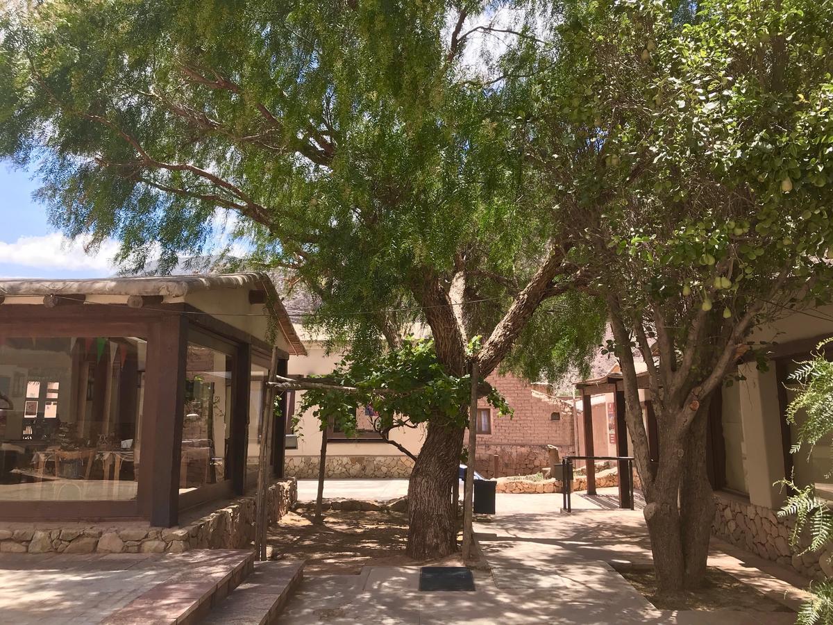 Las Vicunas Departamentos Purmamarca Exteriör bild